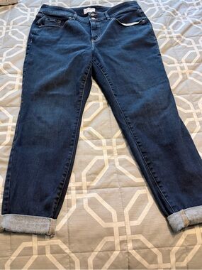 Lane Bryant Dark Blue Skinny Jeans